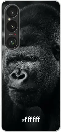 Gorilla Xperia 1 VI