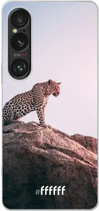 Leopard Xperia 1 VI