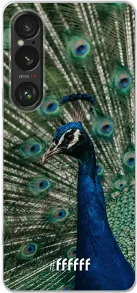 Peacock Xperia 1 VI