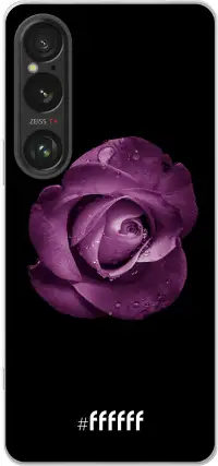 Purple Rose Xperia 1 VI