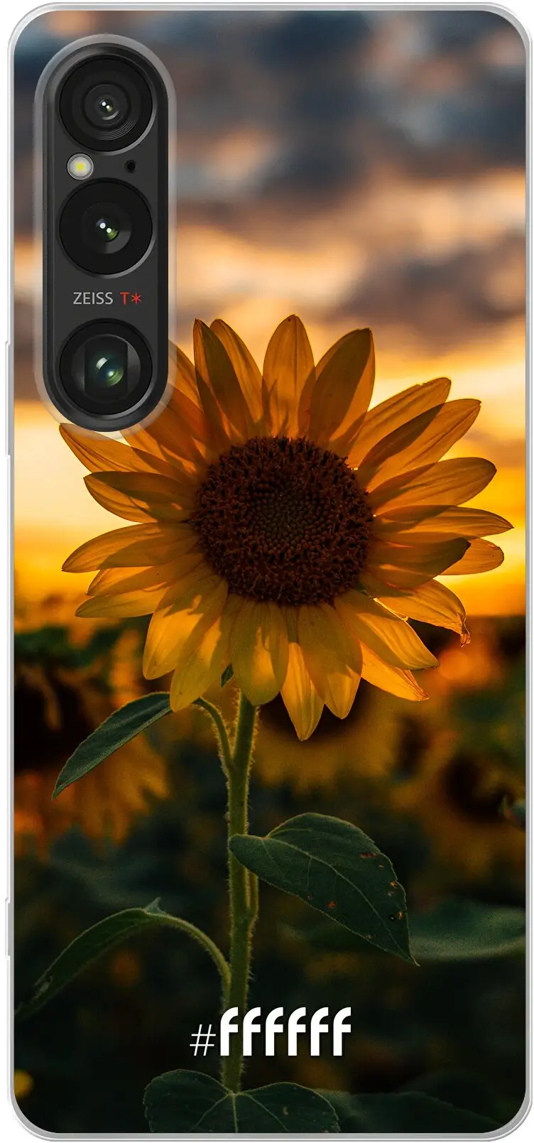 Sunset Sunflower Xperia 1 VI