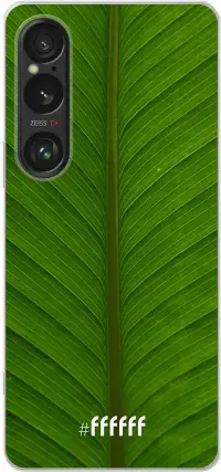 Unseen Green Xperia 1 VI