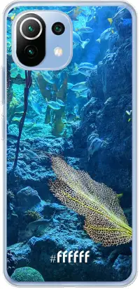 Coral Reef Mi 11 Lite