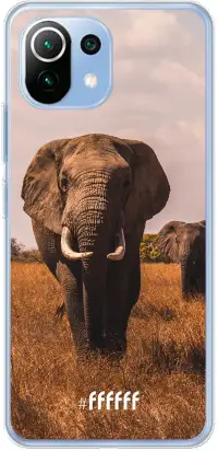 Elephants Mi 11 Lite