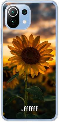 Sunset Sunflower Mi 11 Lite