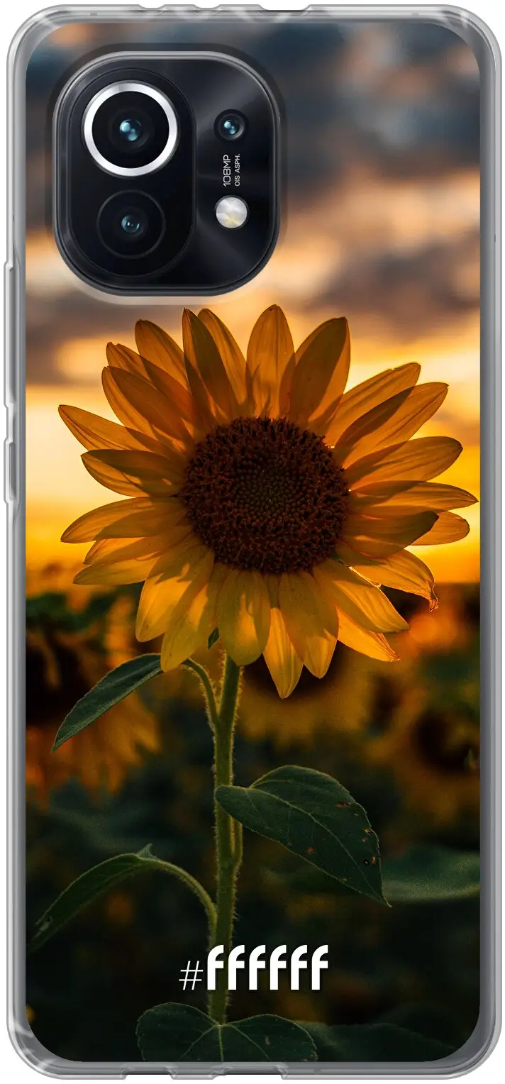 Sunset Sunflower Mi 11