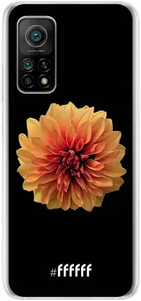 Butterscotch Blossom Mi 10T 5G