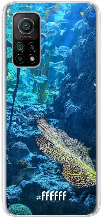 Coral Reef Mi 10T 5G