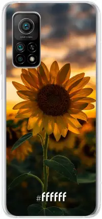 Sunset Sunflower Mi 10T 5G