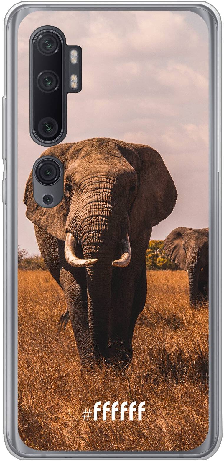 Elephants Mi Note 10