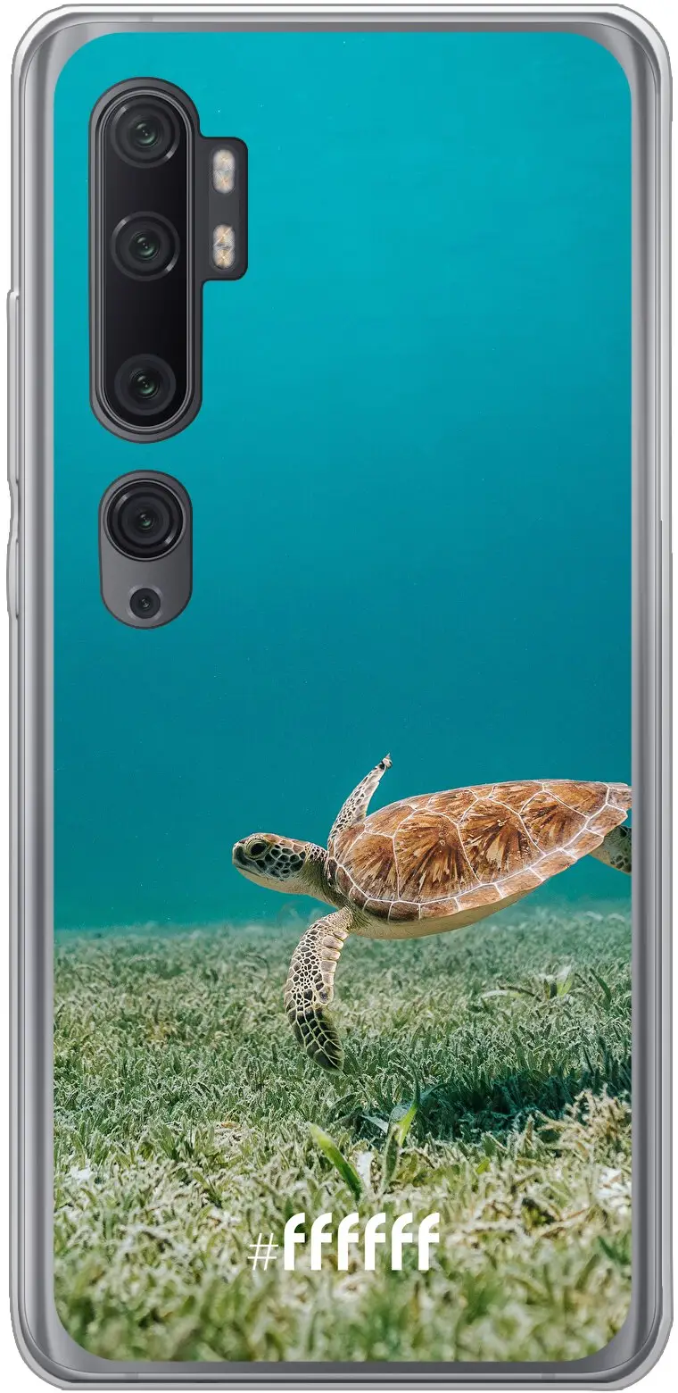 Turtle Mi Note 10