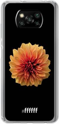 Butterscotch Blossom Poco X3 Pro