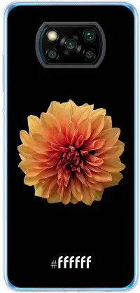 Butterscotch Blossom Poco X3 Pro