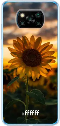 Sunset Sunflower Poco X3 Pro