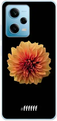 Butterscotch Blossom Redmi Note 12 Pro 5G