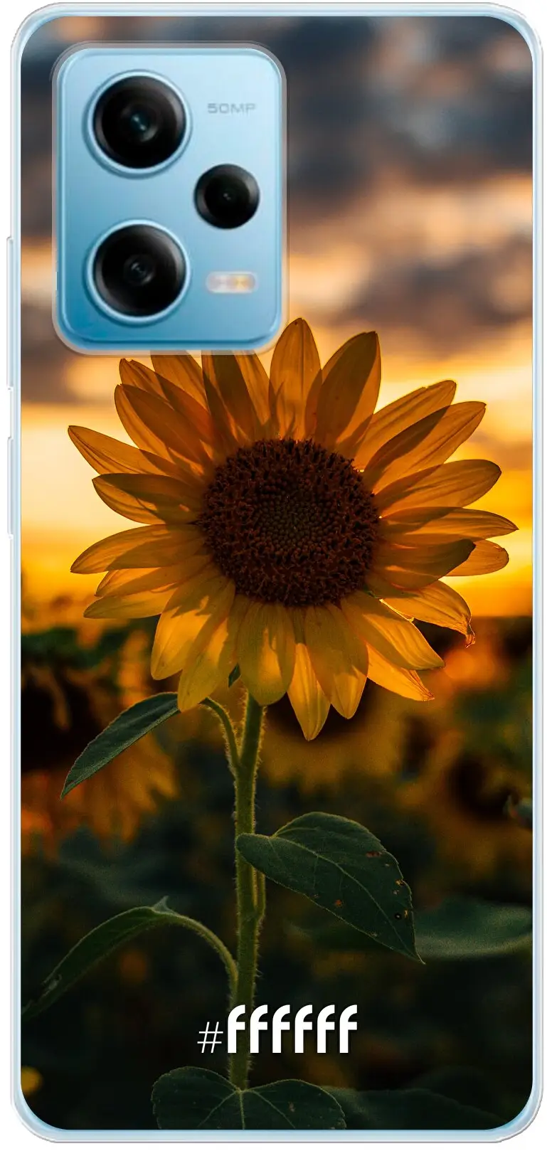 Sunset Sunflower Redmi Note 12 Pro 5G