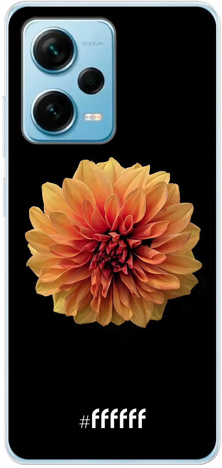 Butterscotch Blossom Redmi Note 12 Pro Plus