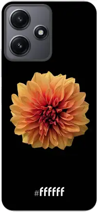 Butterscotch Blossom Redmi 12