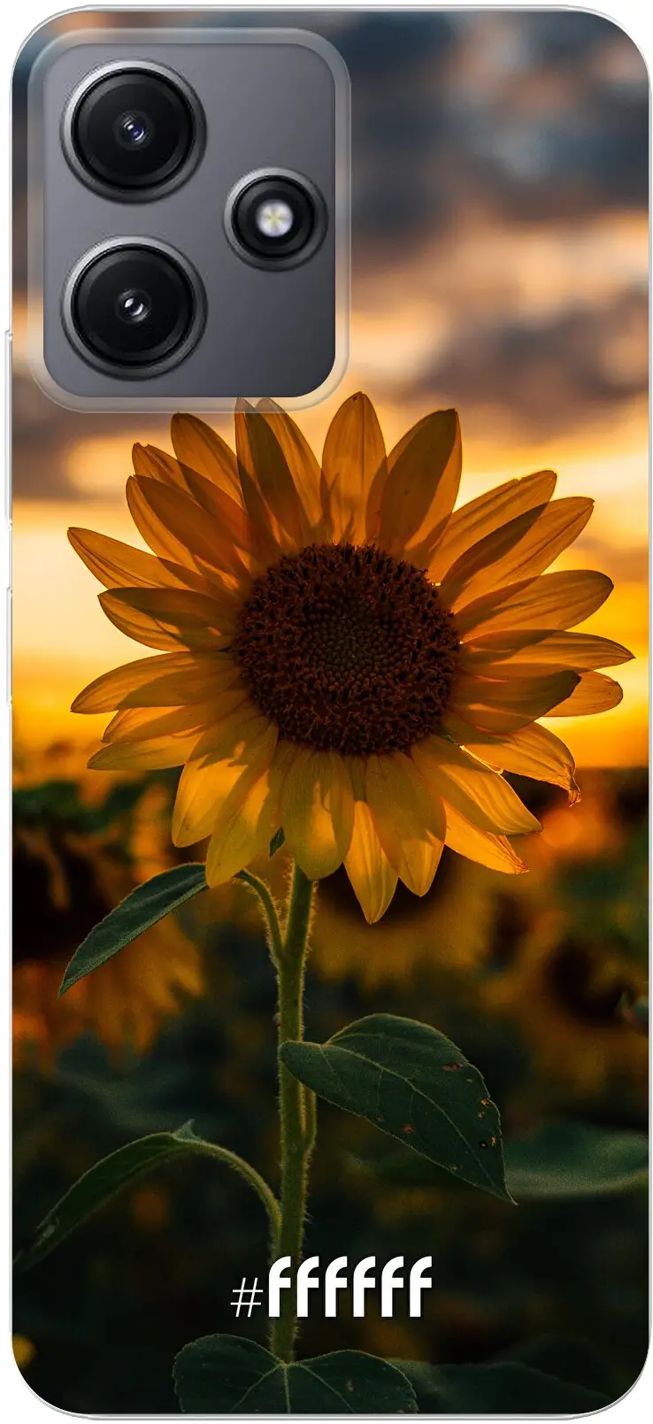 Sunset Sunflower Redmi 12