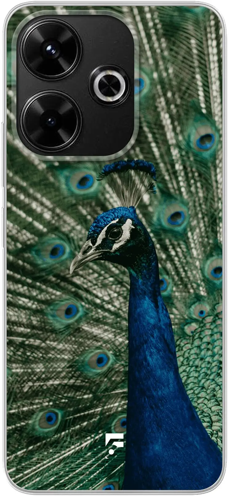 Peacock Redmi 13