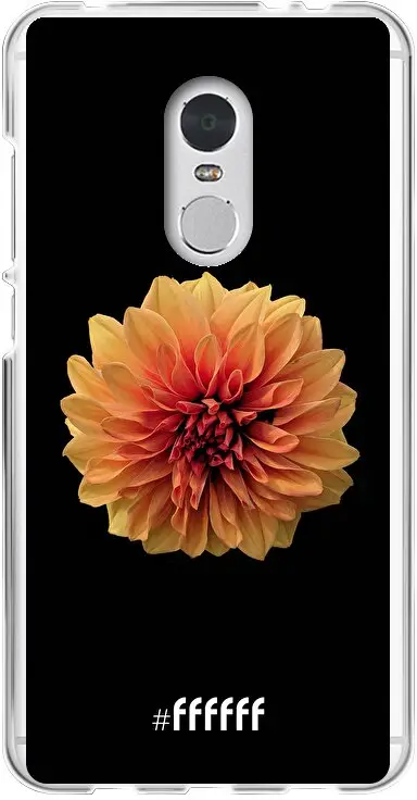 Butterscotch Blossom Redmi 5