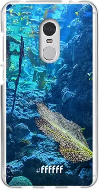 Coral Reef Redmi 5