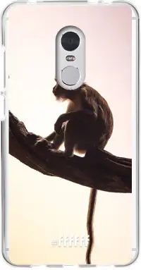 Macaque Redmi 5