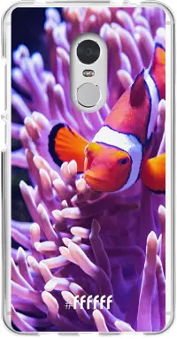 Nemo Redmi 5