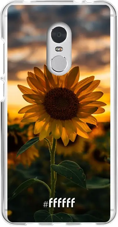 Sunset Sunflower Redmi 5