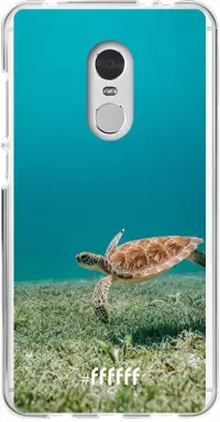 Turtle Redmi 5