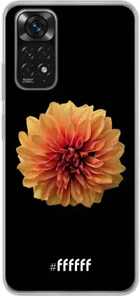 Butterscotch Blossom Redmi Note 11