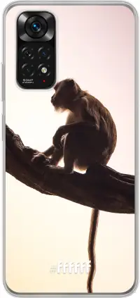 Macaque Redmi Note 11