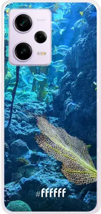 Coral Reef Redmi Note 12