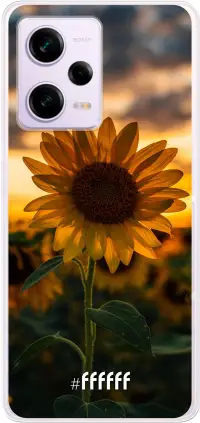 Sunset Sunflower Redmi Note 12