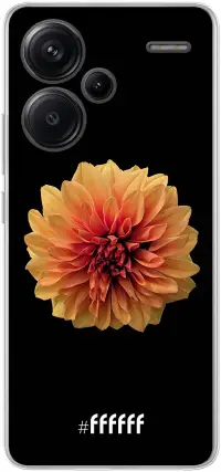 Butterscotch Blossom Redmi Note 13 Pro