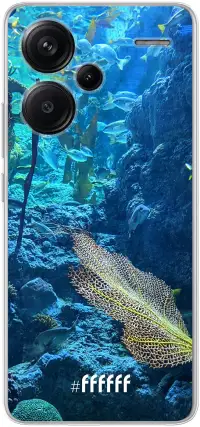 Coral Reef Redmi Note 13 Pro