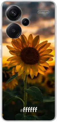 Sunset Sunflower Redmi Note 13 Pro